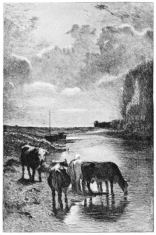 饮用牛的常数特洛伊昂- 19世纪
